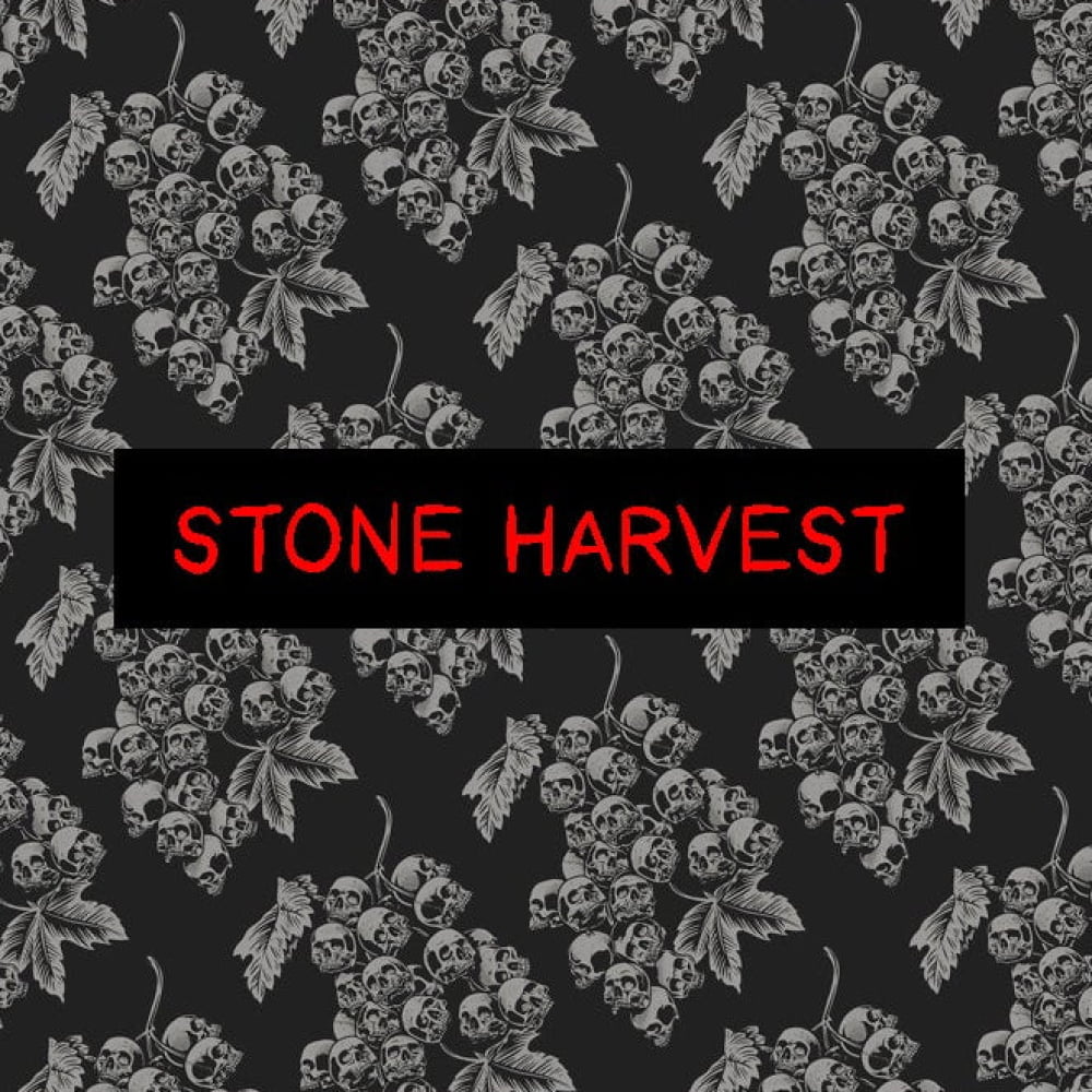 ’Stone Harvest’ Alt Swim Shorts - Gothic Swim Trunks & Goth