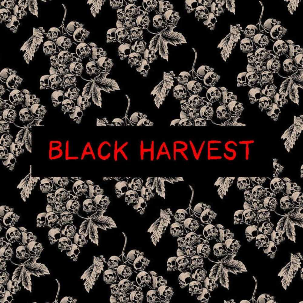 ’Black Harvest’ Goth Swim Shorts - Goth Swim Trunks &