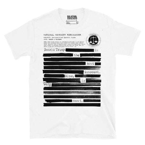 Jeffrey Epstein T-Shirt / Jeffrey Epstein Shirt - Punk Subtle Anti-Tru